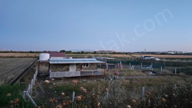 🌿 YATIRIMLIK FIRSAT!