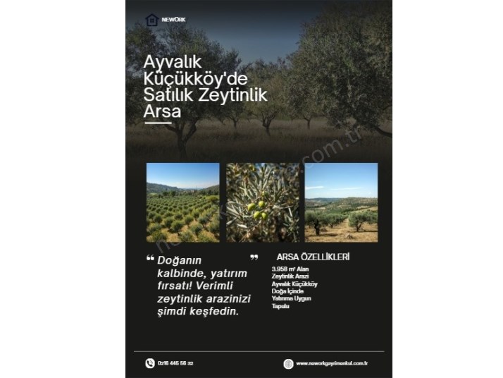 KÜÇÜKKÖY TUZGÖLÜNE YAKIN SATILIK ZEYTİNLİK