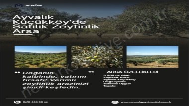 KÜÇÜKKÖY TUZGÖLÜNE YAKIN SATILIK ZEYTİNLİK