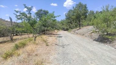 KÖY YOLUNA CEPHELİ 1120 m2 TARLA 