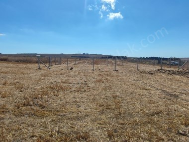 SİLİVRİ ALİPAŞA MAHHALLESİNDE PARSELASYONU BİTMİŞ YATIRIMLIK KUPON ARSA SATILIK 254M2