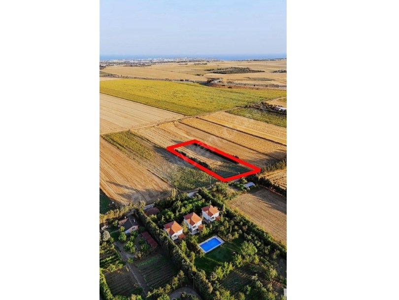 SİLİVRİ GAZİTEPE MAHHALLESİNDE SATILIK ARSA 3.621M2