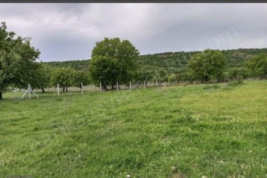  İzmir Dikili de Deniz manzaralı tarla