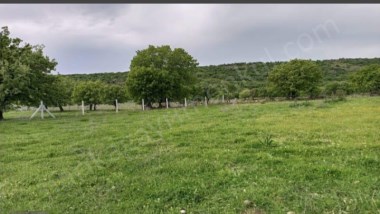  İzmir Dikili de Deniz manzaralı tarla