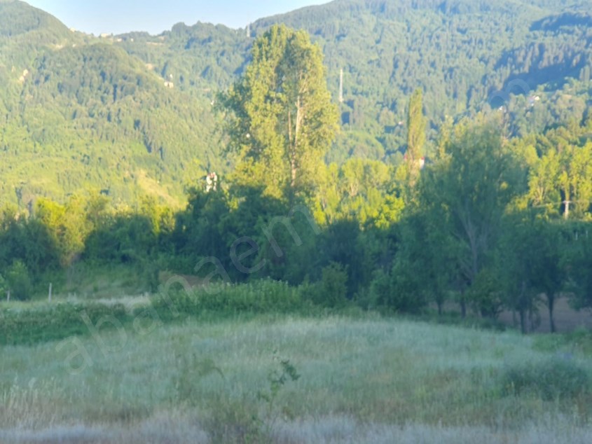 ABANA EMLAKTAN YEMENİ KÖYÜNDE  2411 M2 SATILIK ARSA