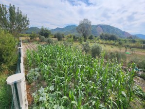 ORTACA MERGENLİ SATILIK ARSA