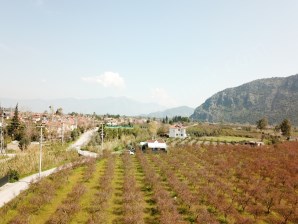 1161866003 DALYANDA 4712m2 MÜSTAKİL ARZİSİ İÇERİSİNDE 2+1 VİLLA 