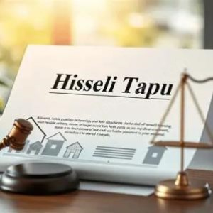 Bir mülkün birden fazla sahibi olabilir mi?