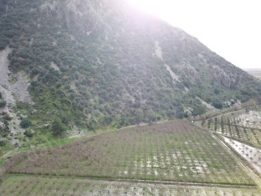 DALYAN SATILIK 10 DÖNÜM NARTARLASI