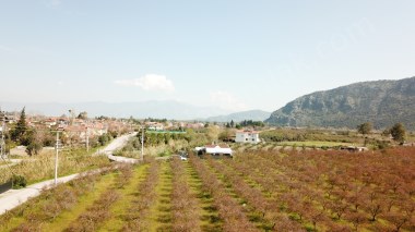 1161866003 DALYANDA 4712m2 MÜSTAKİL ARZİSİ İÇERİSİNDE 2+1 VİLLA 