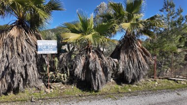 Gökbelde Satılık 500m2  Tarla