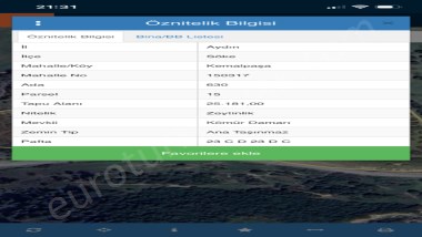 AYDIN SÖKE MEVKİSİNDE İMARA YAKIN ZEYTİNLİK