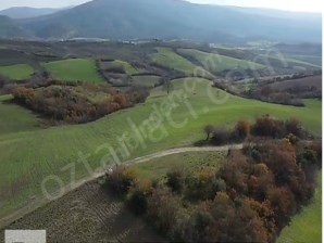 AT ÇİFTLiGi VE YATIRIMA UYGUN TOPLAM 85.441 m2 ARAZİ