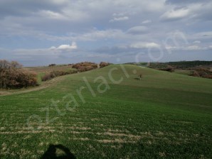 YATIRIMA UYGUN TOPLAM 85.441 m2 ARAZi