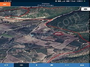 MUSTAFAKEMALPAŞA ÇÖRDÜK 3000 M2 SATILIK ZEYTİNLİK