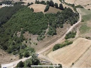 Paşalar satılık tarla 13.000 m2 resmi yola cephe