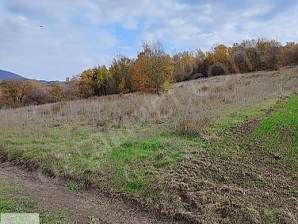 MELİK SATILIK RESMI YOLA CEPHE 15338 M2 ARAZI