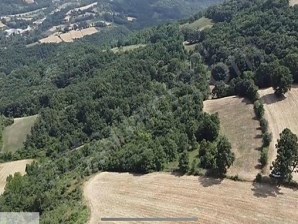 Mkp Bahariye 3300 m2 Korusuyla Satılık Tarla