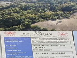 Akarca Mahallesi 7400m² TURİZM İMARLI %50 Takaslı
