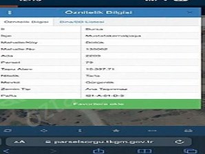 Döllük Mahallesinde satılık ceviz bahçesi 10397 m2