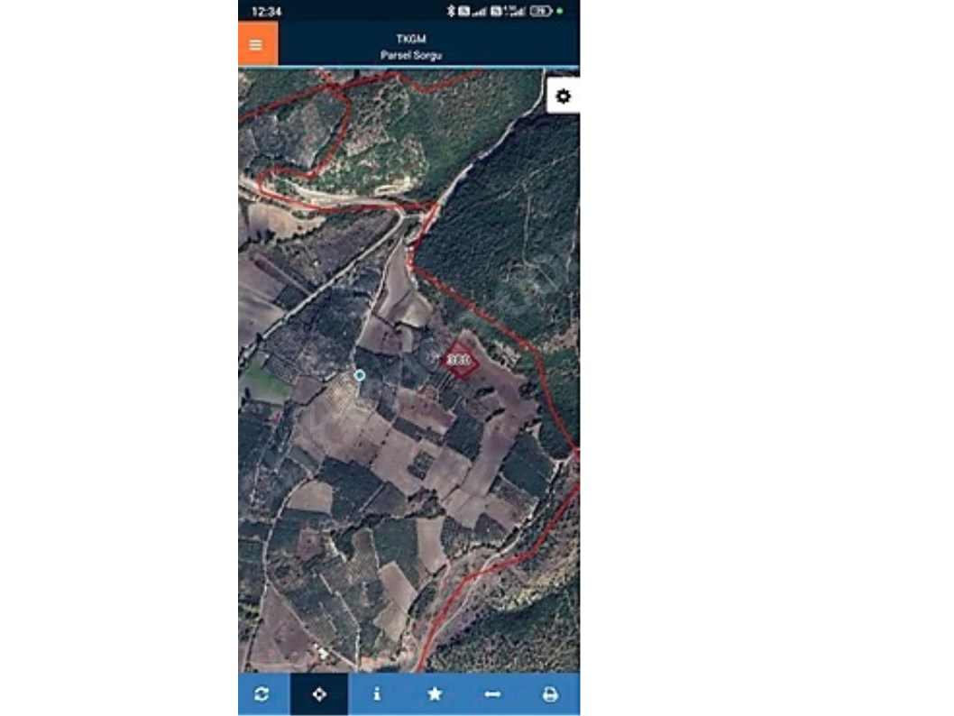 MUSTAFAKEMALPAŞA ÇÖRDÜK 3000 M2 SATILIK ZEYTİNLİK