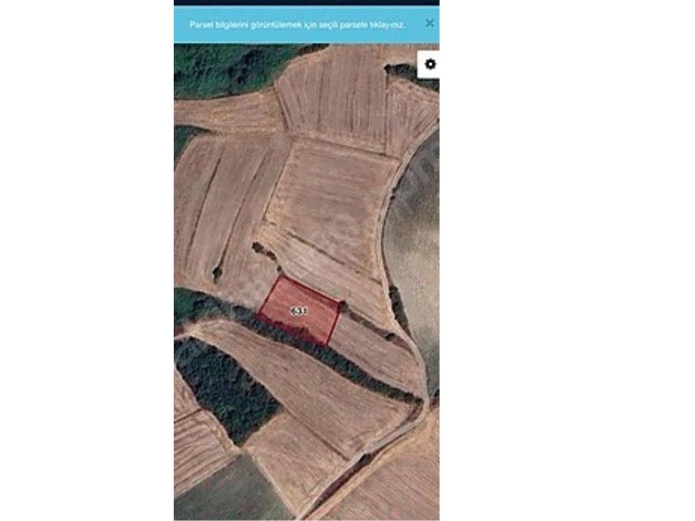 ÖZTARLACIDAN ADA KÖY SATILIK TARLA HOBİ BAHÇESİ 1500 M2