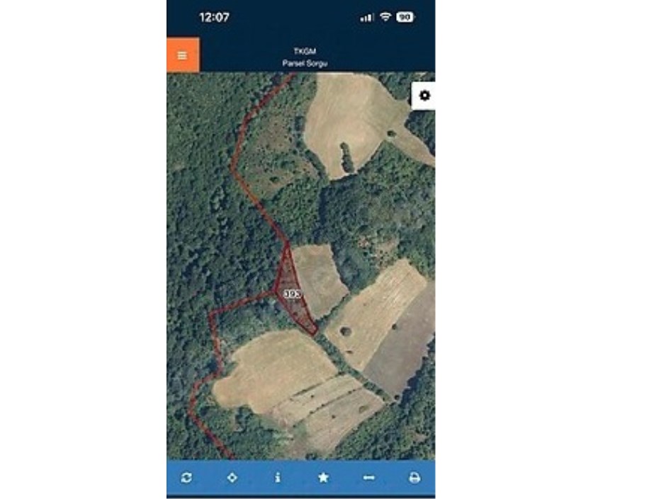  Lütfiyede 2400m2 Korusuyla Satılık Tarla