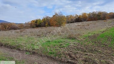 MELİK SATILIK RESMI YOLA CEPHE 15338 M2 ARAZI