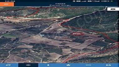 MUSTAFAKEMALPAŞA ÇÖRDÜK 3000 M2 SATILIK ZEYTİNLİK