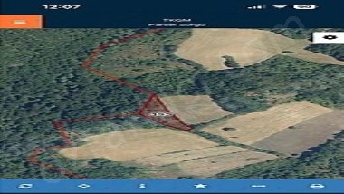  Lütfiyede 2400m2 Korusuyla Satılık Tarla