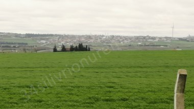 SİLİVRİ FENER KÖYÜ SATILIK 3550M2 HİSSELİ TAPU TARLA