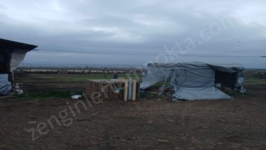 TAM NOKTA ZENGİNLER’DEN SATILIK 120 BAŞLIK ÇİFTLİK ELEKTRİKLİ TRAFOLU RUHSATLI YATIRIMLIK ARAZİ