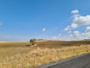 ULUAĞAÇTA 3 kapılı yolu civarı 39 dönüm satılık tarla 