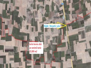 AĞÇAŞARDA 15.360 M2 SATILK TARLA 