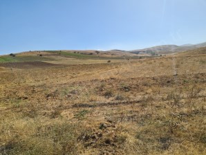 ELMALI   ÇAMARDI YOLUNA  CEPHELİ  32 DÖNÜM SAT TARLA