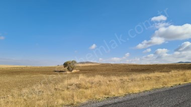 ULUAĞAÇTA 3 kapılı yolu civarı 39 dönüm satılık tarla 