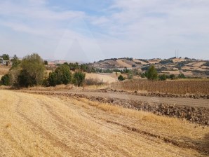 EDİRNE UZUN KÖPRÜ KARAPINAR KÖYÜNDE YATIRIMLIK TARLA