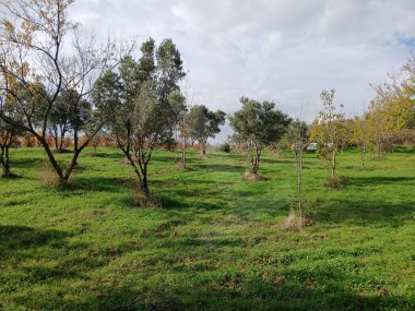 🌿 HOŞKÖYDE DOĞAYLA İÇ İÇE, DENİZ MANZARALI YATIRIM FIRSATI! 🌊
