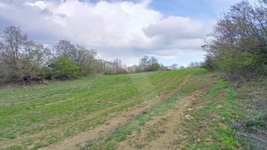 Palamut Mahallesinde yatırıma uygun 3500 M2 tarla