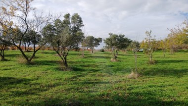 🌿 HOŞKÖYDE DOĞAYLA İÇ İÇE, DENİZ MANZARALI YATIRIM FIRSATI! 🌊
