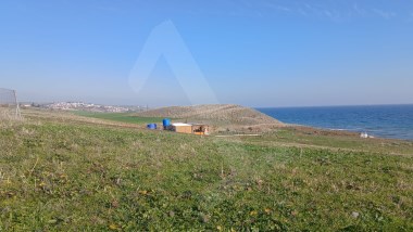 🌊 Şarköy Kocaali Mahallesi Çukurtarla Mevkiinde Deniz Manzaralı Satılık Arsa