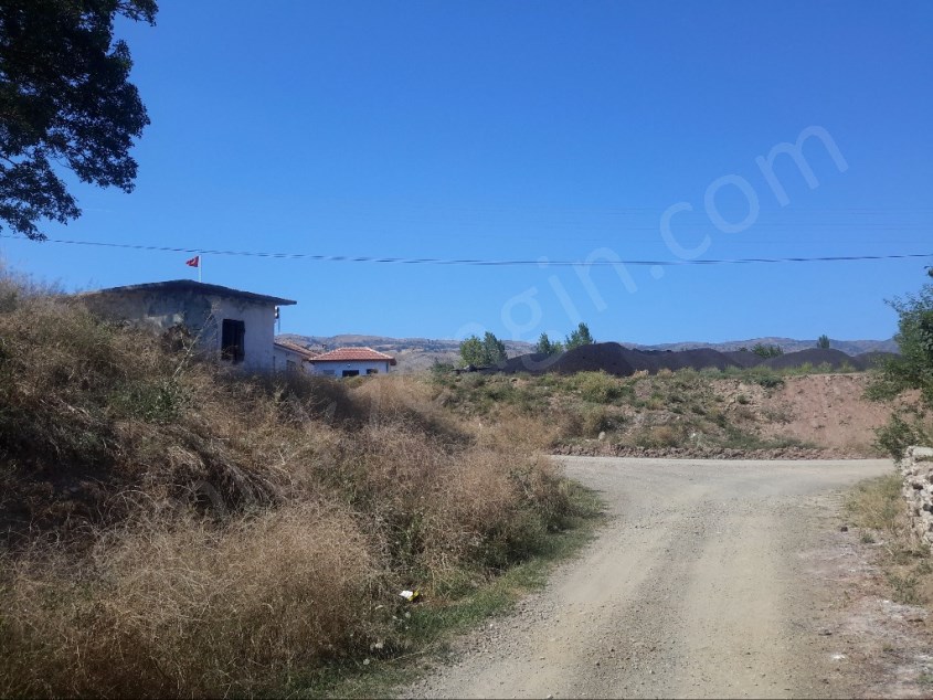 ZİLE GİRİŞİ BAĞLARDA SATILIK ÇİFTLİK